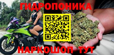 СК Свободный