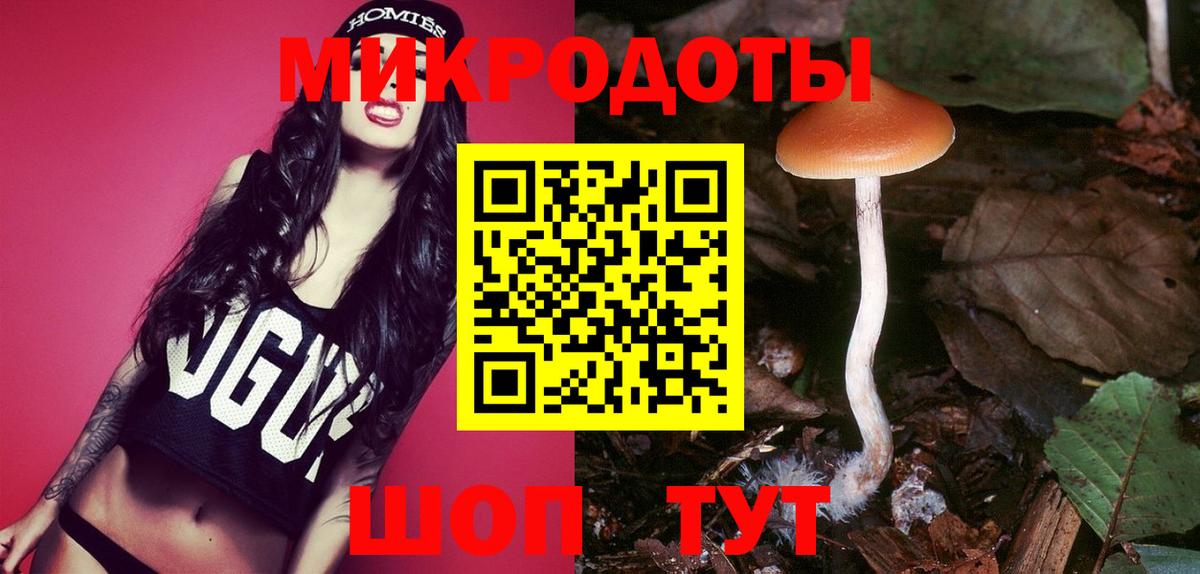 Псилоцибиновые грибы прущие грибы Прохладный