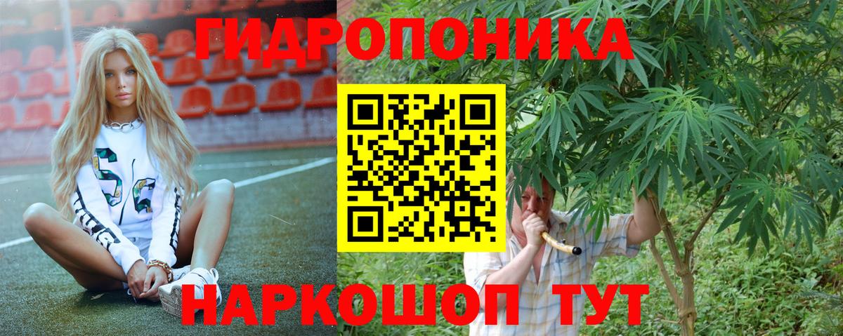 Конопля ГИДРОПОН Прохладный